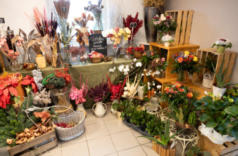 Hopf Bruckberg - Blumen für jeden Anlass © Foto: peppUP