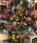 Hochzeit - Trauer - Jubiläum - Blumenschmuck
