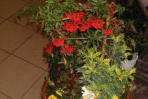 Hochzeit - Trauer - Jubiläum - Blumenschmuck
