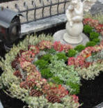 Hochzeit - Trauer - Jubiläum - Blumenschmuck
