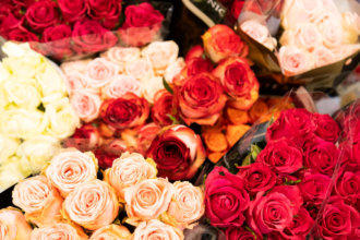 Hopf Bruckberg - Öffnungszeiten © Foto: peppUP.de