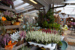 Post, Lotto, Blumen, Geschenke u.v.m.