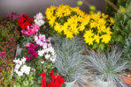 Post, Lotto, Blumen, Geschenke u.v.m.