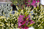 Post, Lotto, Blumen, Geschenke u.v.m.