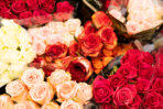 Post, Lotto, Blumen, Geschenke u.v.m.