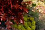 Post, Lotto, Blumen, Geschenke u.v.m.